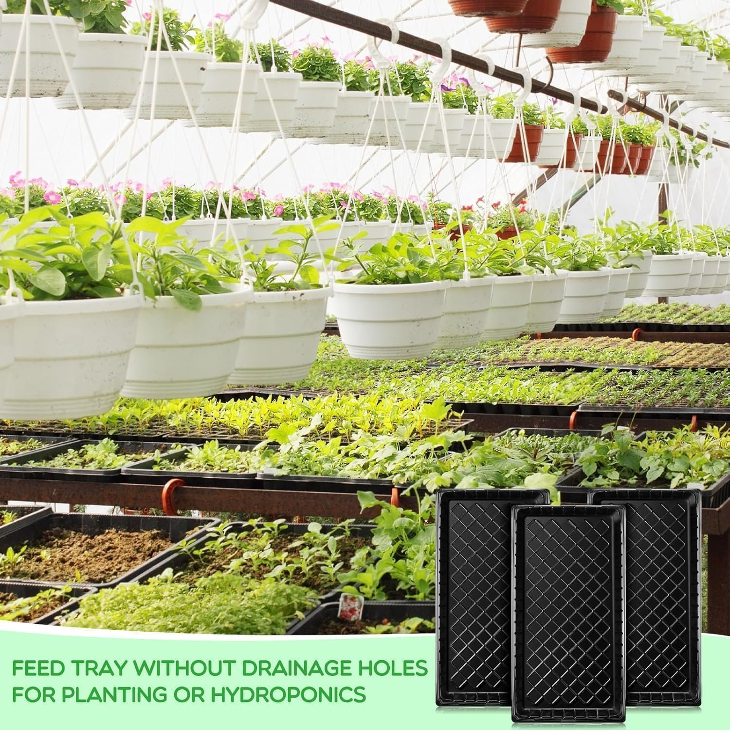 Plant Planting Garden Seed Starting Planting Trays 8 Pack without Drainage Holes Black Indoor Seedling Propagation Tray Microgreens Wheatgrass Sprouting Greenhouse Supplies Plant Tray image number 6