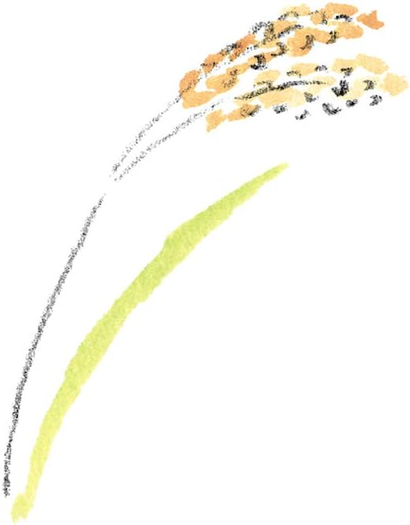 M-Mark Rice Bran Body Lotion image number 1