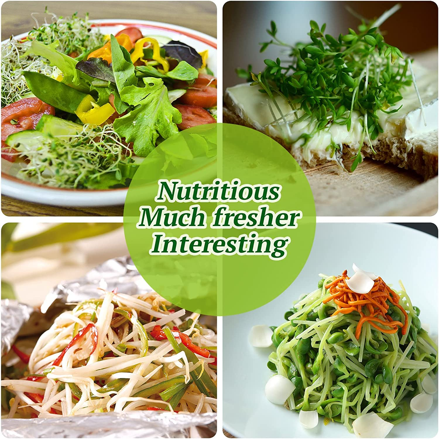 Sprouting Jar Kit 2Pcs Large Wide Mouth Mason Jars with Stainless Steel Screen Sprout Lid,Sprouting Jar Stand,Tray,Blackout Sleeves,Brush-Seed Sprouting Kit for Growing Mung Beans,Broccoli and so On