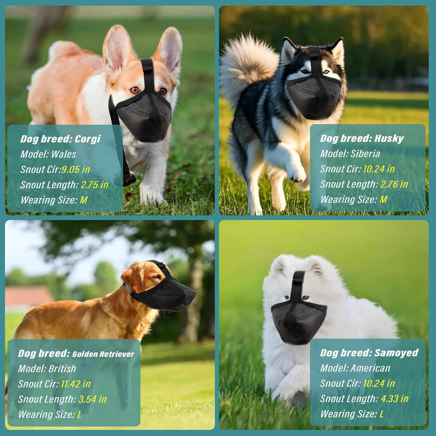 Viiotu Breathable Mesh Dog Muzzle, Adjustable anti Barking Device, Dog Mouth Cover Fits Small Medium Large Dogs, Secure Fit for Safe Breathing and Drinking image number 3