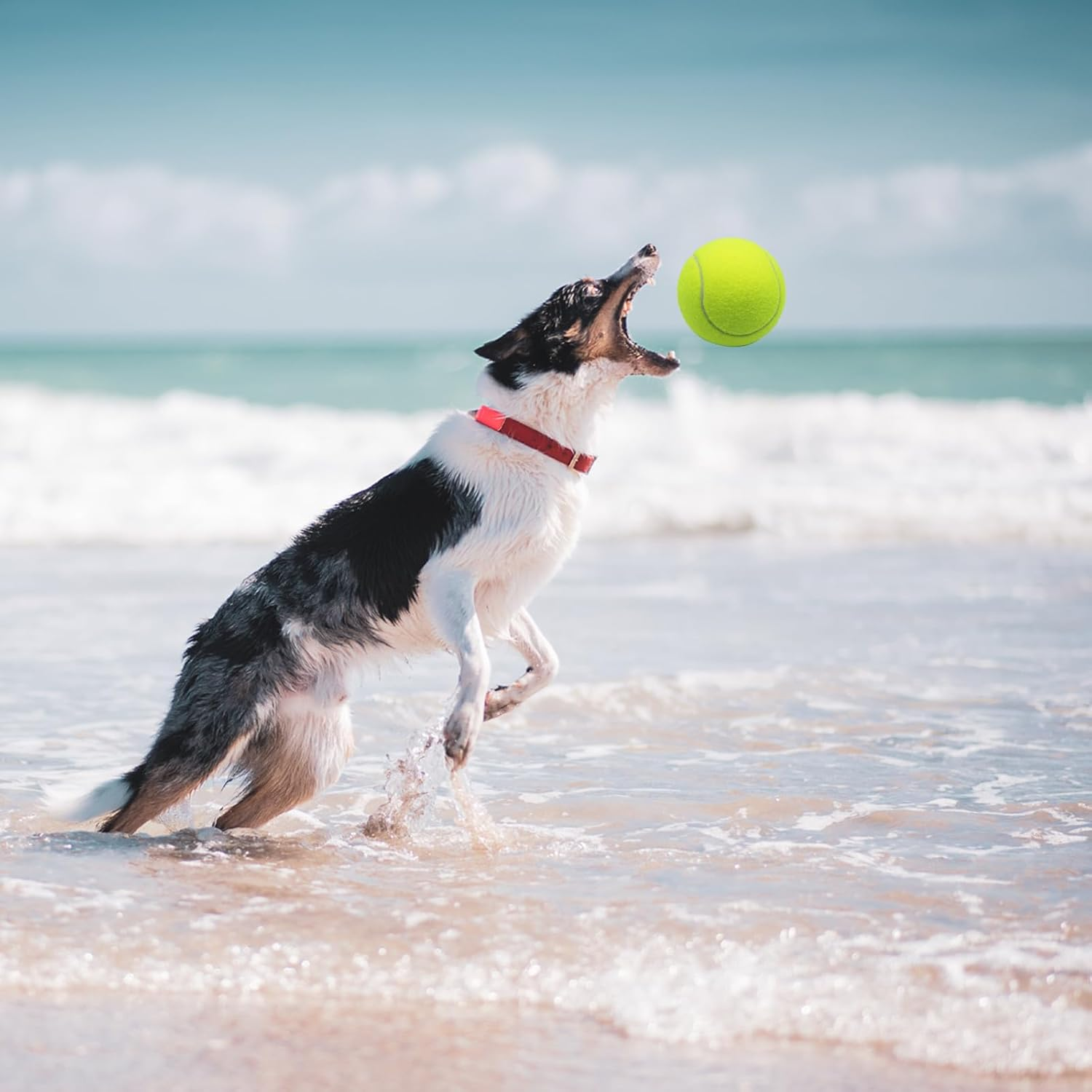 Magicorange Tennis Ball Dog Toys，2 Pack 4 Inch Oversize Giant Tennis Ball Dog Tennis Ball Large Pet Chew Toy for Outdoor/Indoor Sports (Multicolor, 2 Pack) image number 1