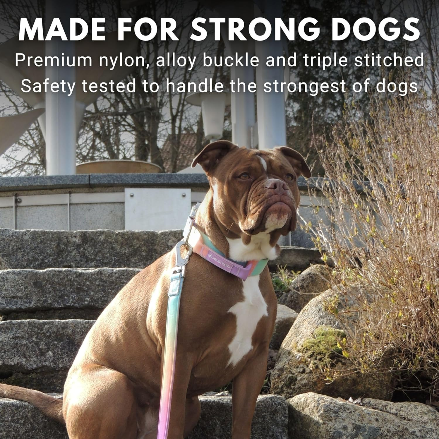 Spark Paws Tactical Dog Collar - Robust, Premium Quality, Thick and Durable for Large and Medium Dogs - Pastel Icing - L, 5 Cm image number 4