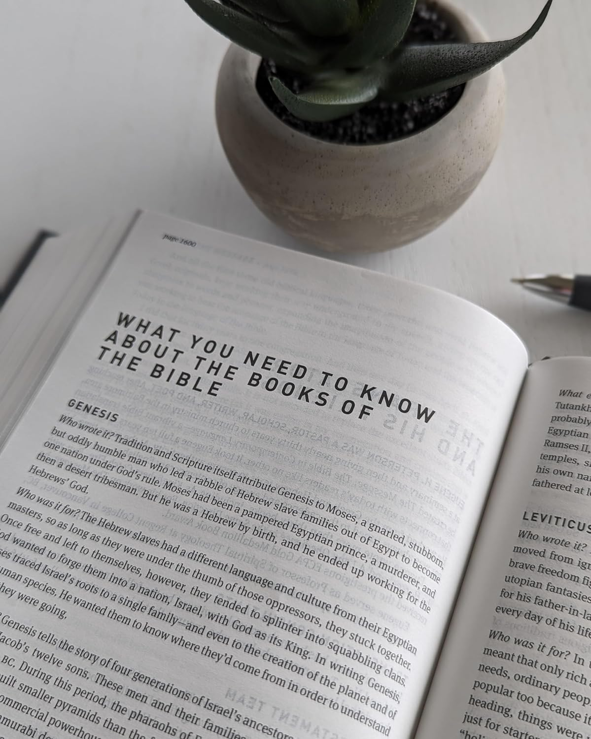 The Message Student Bible (Hardcover)