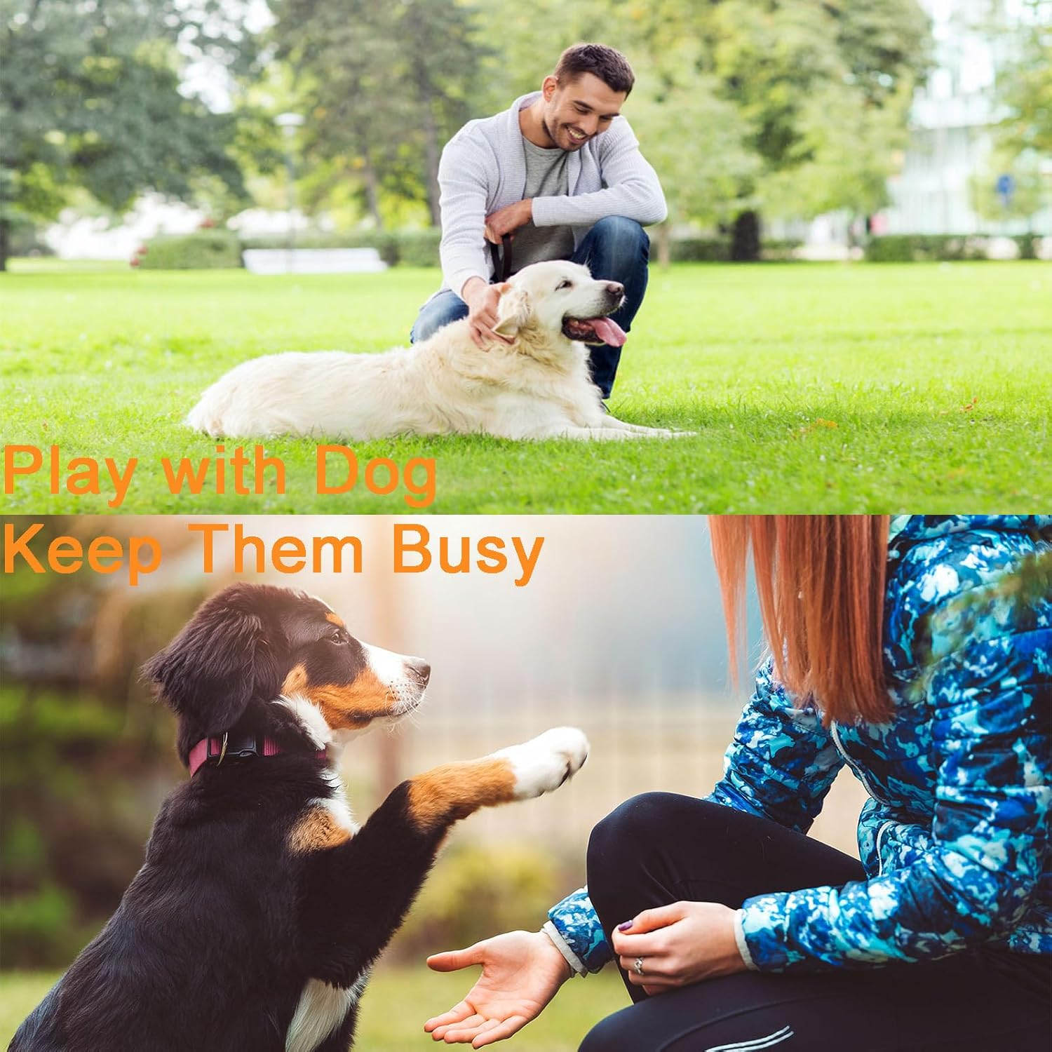 Flirt Pole for Dogs,Foldable Firt Pole,Dog Flirt Pole with 6 Chew Toy,Outdoor or Indoor Dog Rope Toy,Dog Tug of War Toy for Large,Medium,Small Dogs