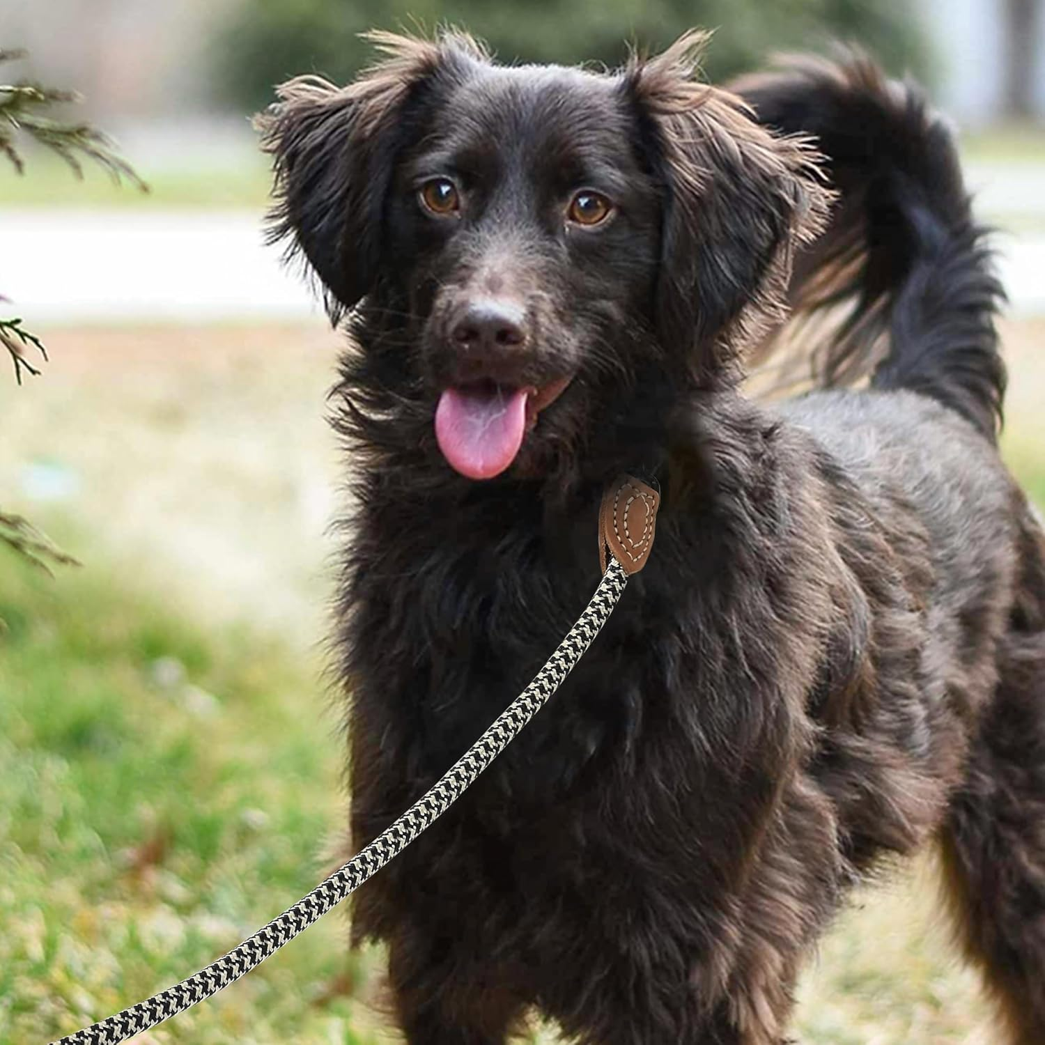 Mile High Life Leather Tailor Reinforce Handle Mountain Climbing Dog Rope Leash with Heavy Duty Metal Sturdy Clasp (Black Khaki, 4 FT) image number 2