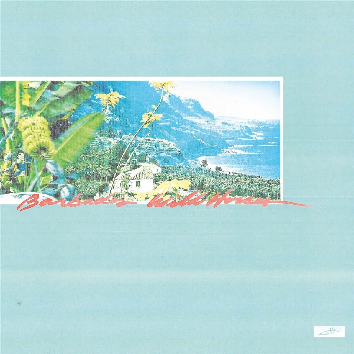 Barbados Wild Horses (LP)