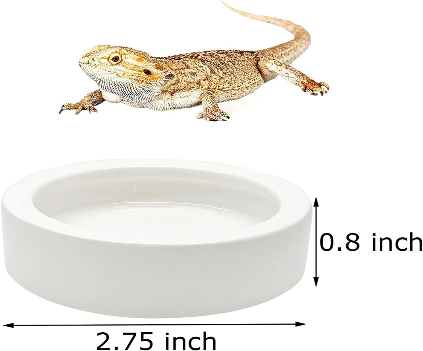 Ihomeset 3 Pcs Reptile Food Bowl with Feeding Tongs, Ceramic Water Feeder Bowl for Lizard Anoles Bearded Dragons Crested Gecko Hermit Crabs Triangular, White, 2.7 Inch