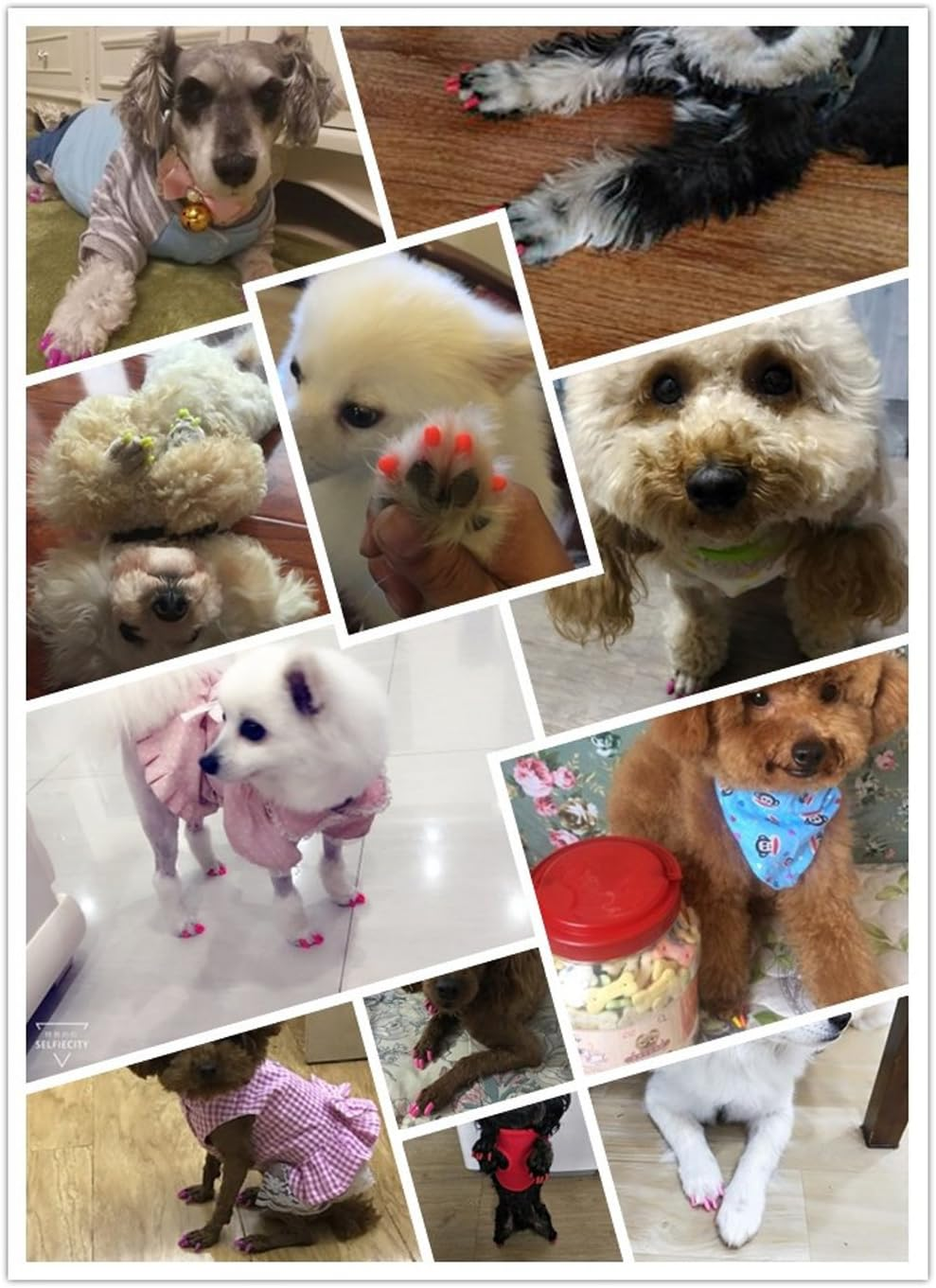 100Pcs Pet Puppy Dog Nail Soft Claw Paws Covers Caps, Control Paws Claws Covers of 5 RANDOM+ 5 Adhesive Glue,Xxl image number 1