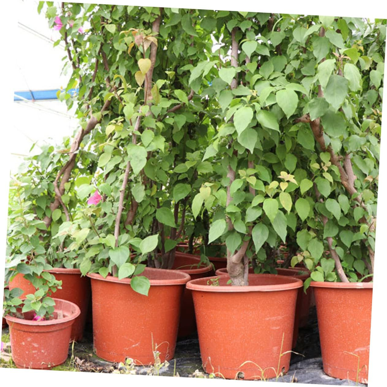 MERRYHAPY Minimalist Design 20Pcs Plastic Flower Pots Base Plant Pots for Gardening image number 5