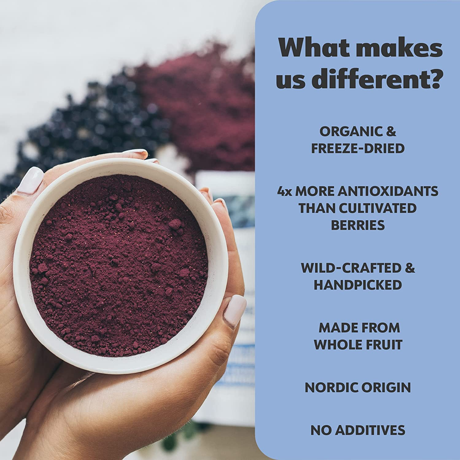 LOOV Organic Wild Blueberry Powder, Wild-Crafted from Nordic Forests, 100% Whole Fruit Bilberry, 52-Day Supply, 250 Grams, Freeze-Dried and Powdered Blueberries, No Added Sugar