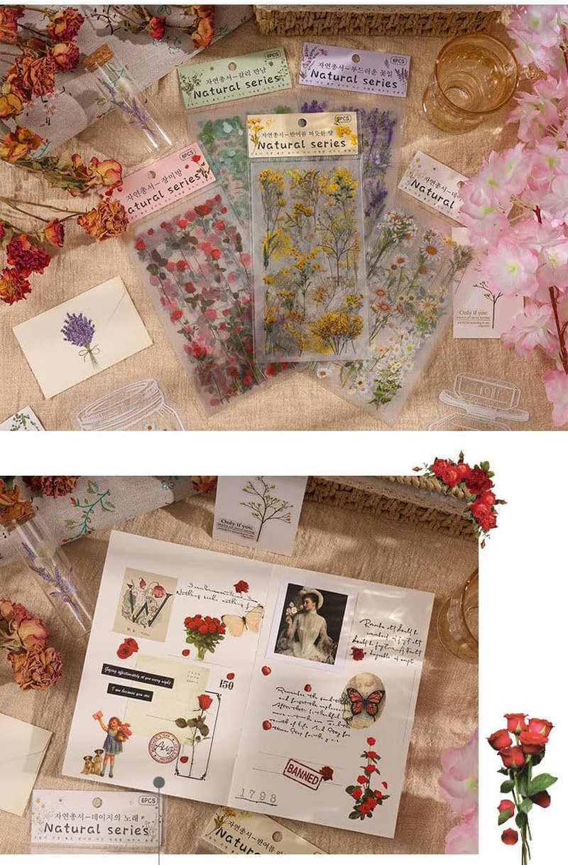720Pcs /8Pack Supplies Stickers Vintage PET Transparent Decorative，Pretty Retro Floral Stickers Set for Scrapbooking,Journal,Arts, DIY Craft, Album, Phone Case image number 3