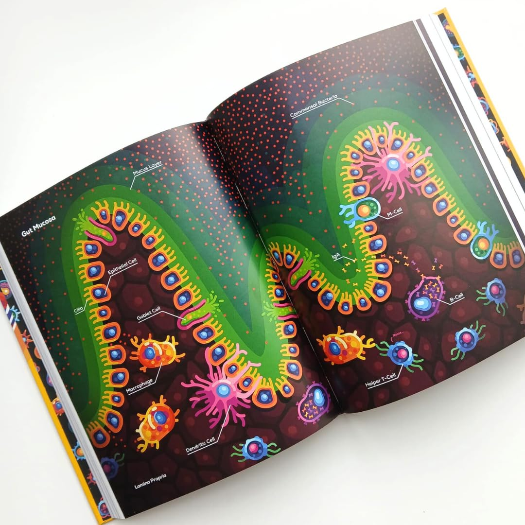 Immune: the Bestselling Book from Kurzgesagt - a Gorgeously Illustrated Deep Dive into the Immune System image number 3