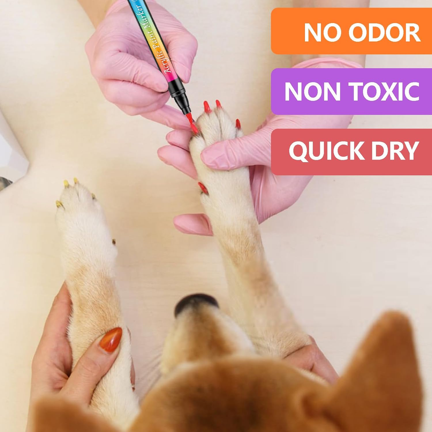Dog Nail Polish,12 Colors Pet Paint Pen Set to DIY Beautiful Dog Nails Ideas,Safe Nail Polish Non Toxic and Odorless, Fast Drying Pet Paint Pen Set image number 3