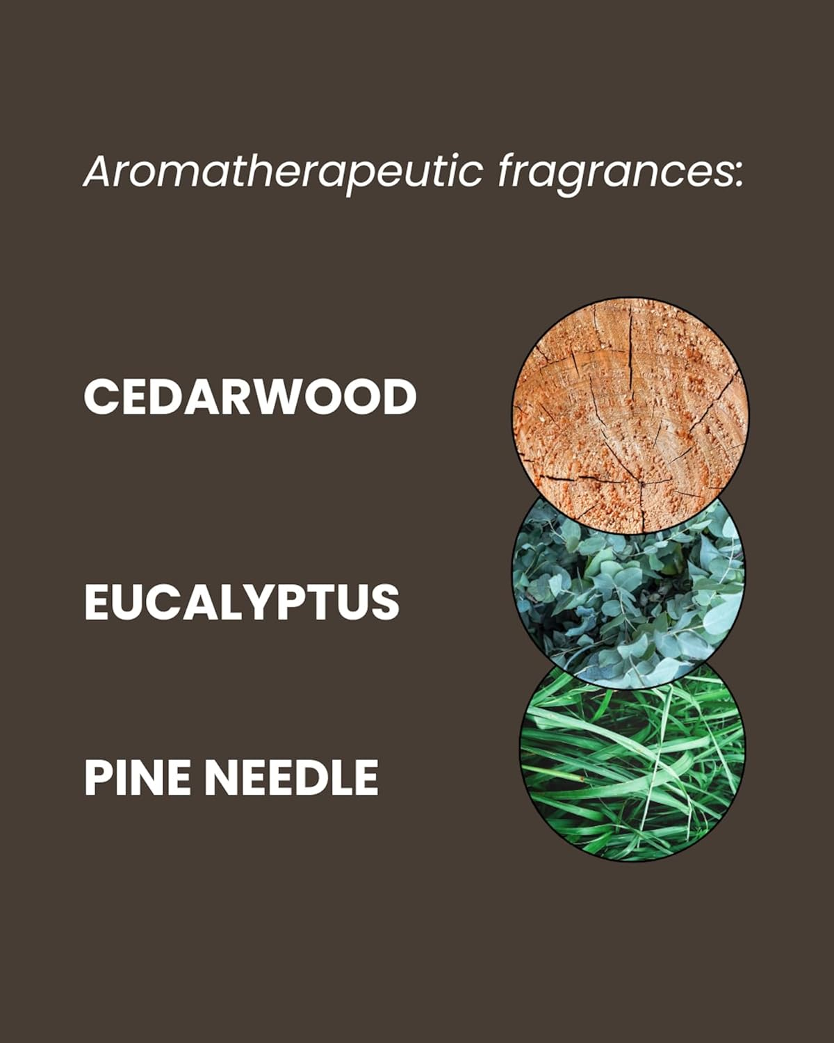 Mancave Cedarwood Shower Gel for Men, Fresh Woody Aroma with Eucalyptus and Pine Needle, Sulphate and Paraben Free, Natural, Vegan, Cruelty Free, 500 Ml image number 1