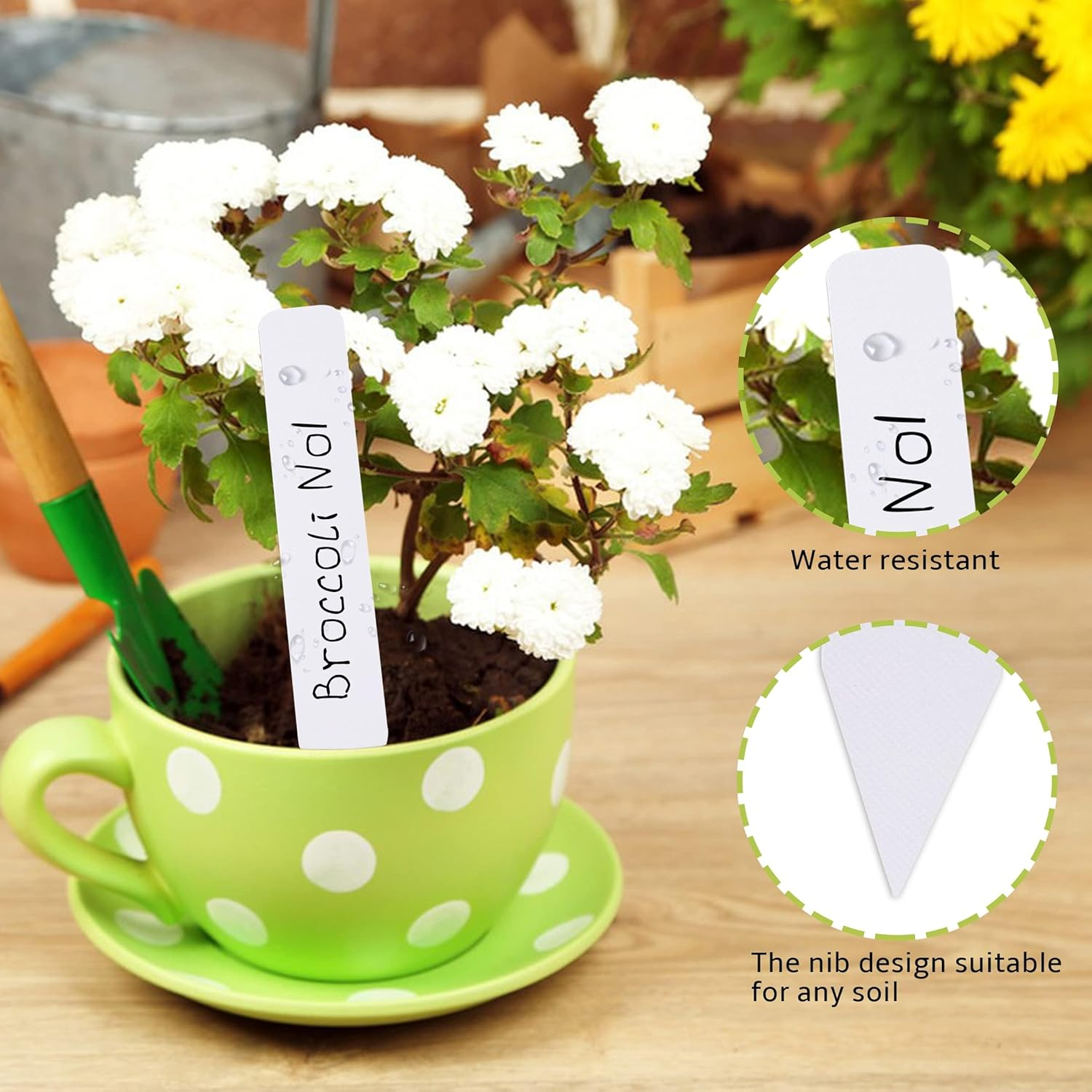 Plant Labels 4 Inch 300Pcs Plastic Plant Name Tags for Seedlings Garden Labels Markers Nursery Tags Seed Labels Label Stakes with Permanet Marking Pen Markers for Outdoor Garden (White) image number 5