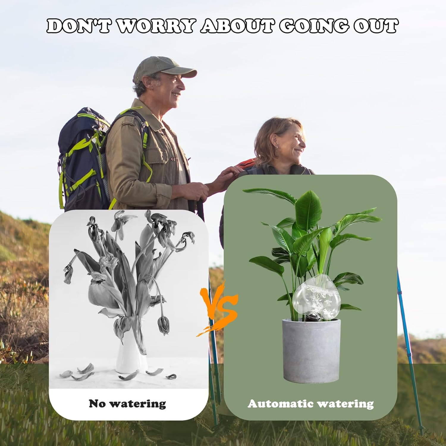 Heart-Shaped 7.04Oz/200Ml Plant Watering Globes - 6 Self Watering Globes for Outdoor ＆ Indoor Plants - Automatic,Slow,Self Watering Spikes Care of Plants Everyday