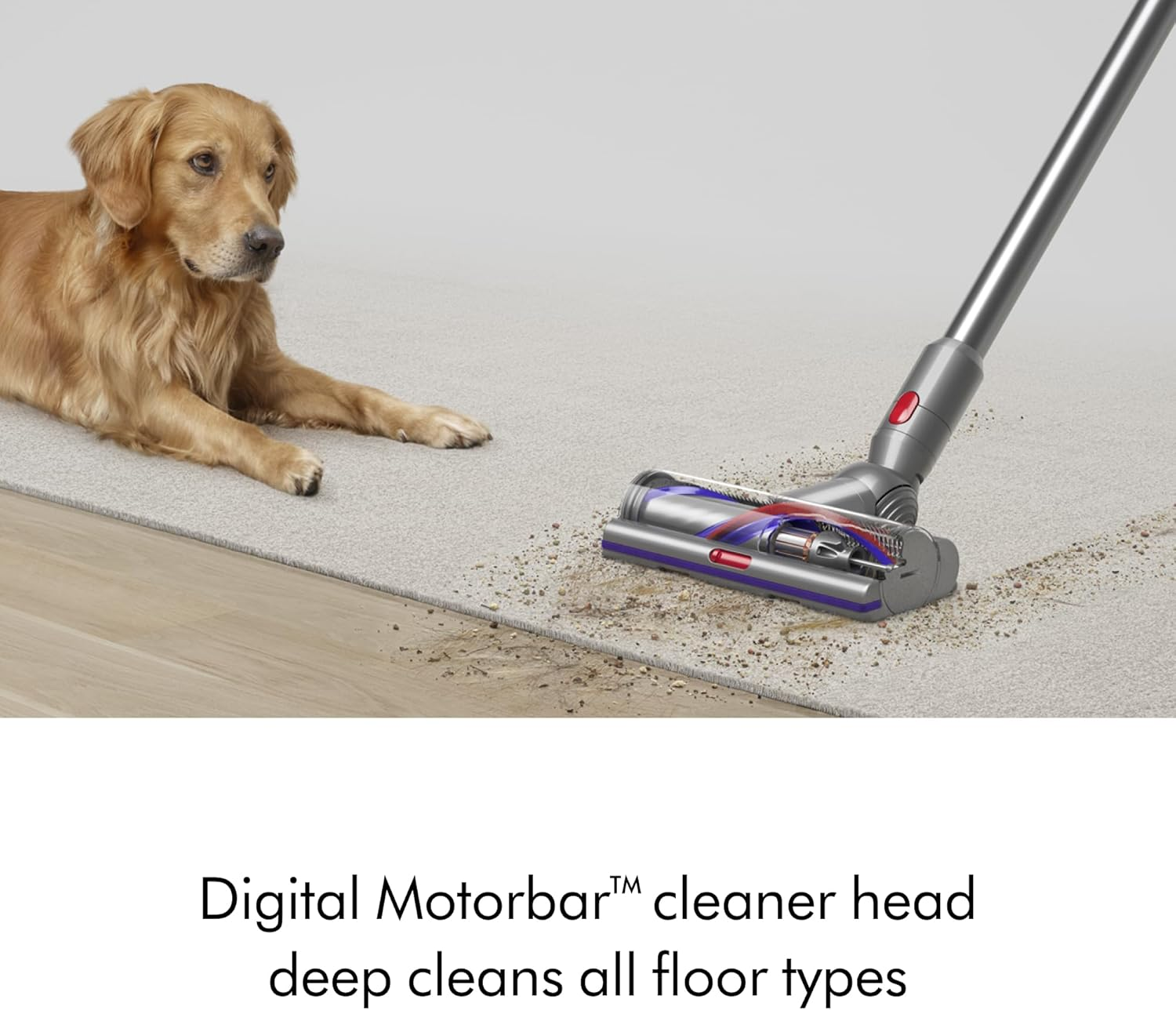 Dyson V15 Detect&trade; Absolute Cordless Vacuum Cleaner image number 4