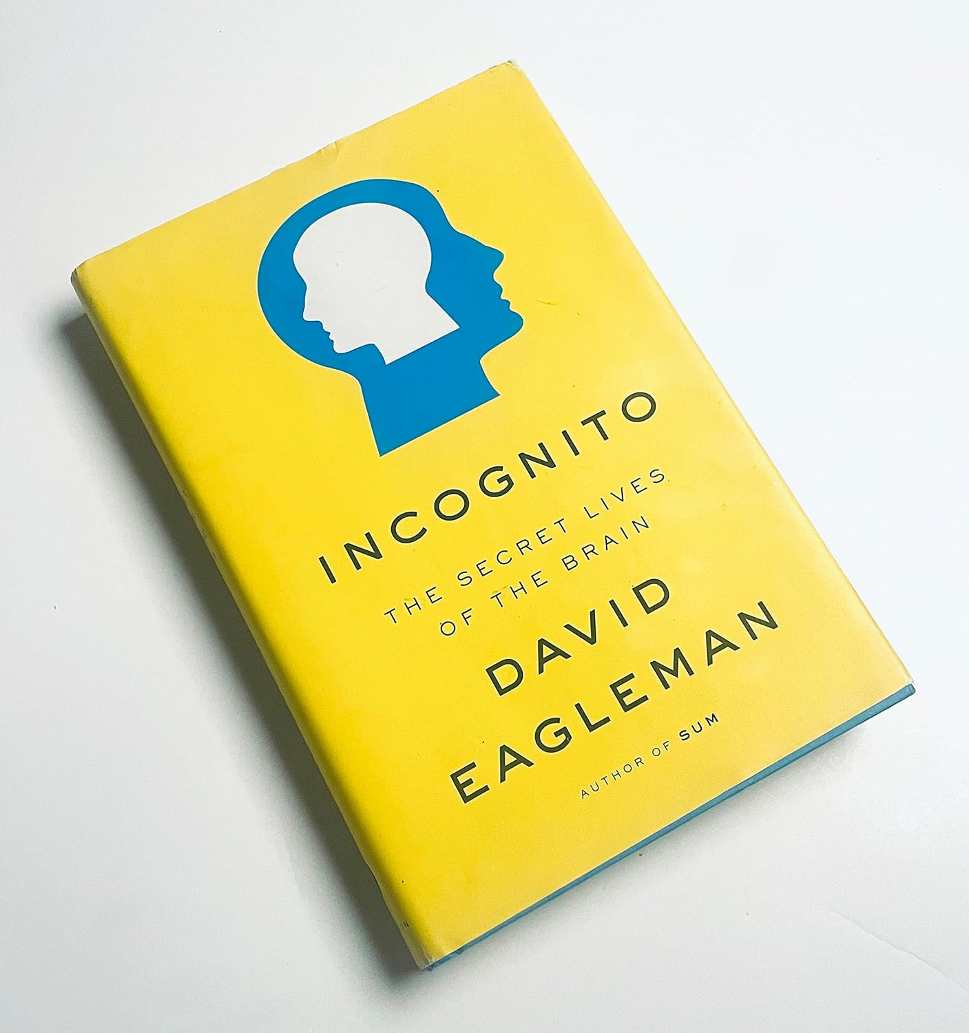 Incognito: the Secret Lives of the Brain
