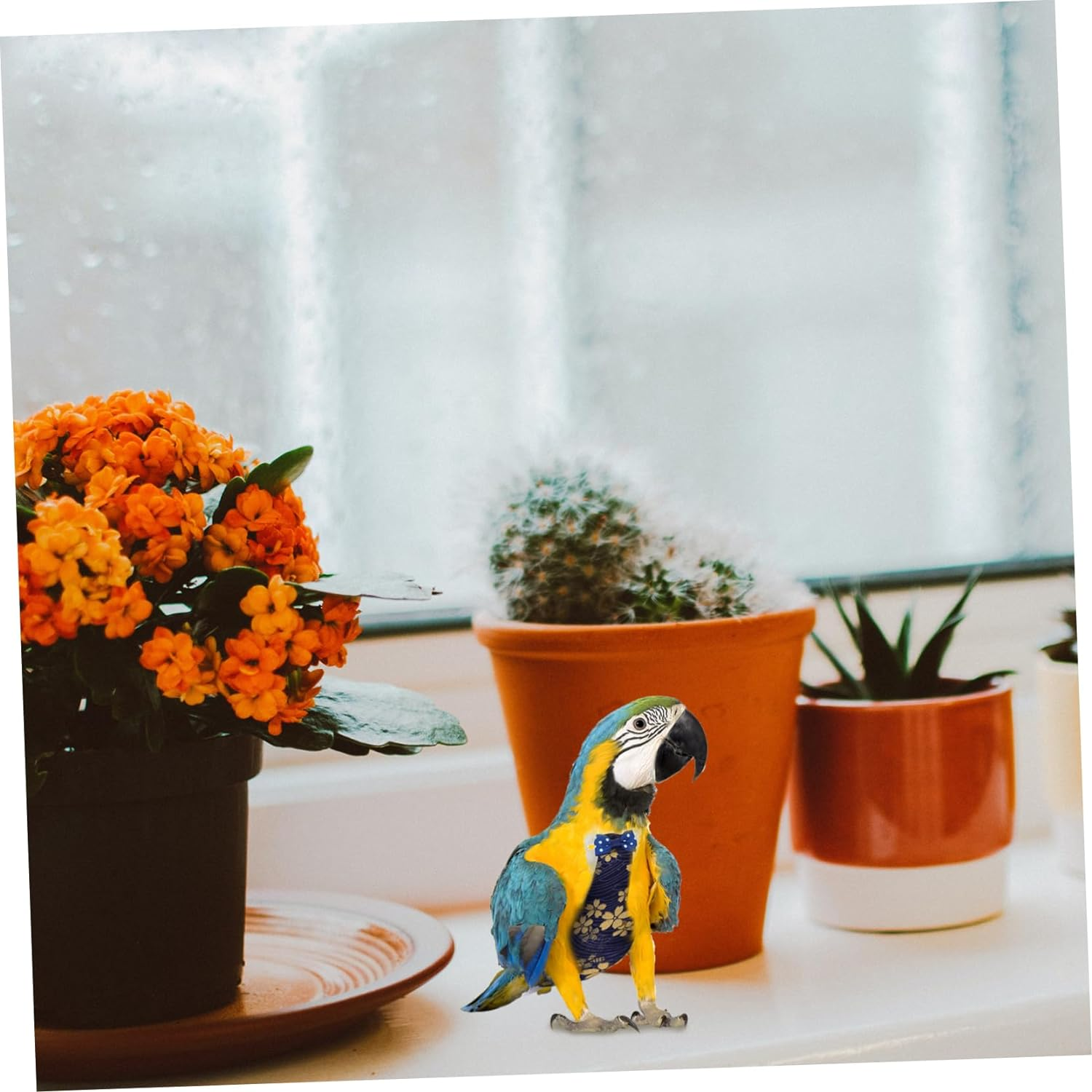 2Pcs Parrot Flight Suit Breathable Birds Diaper for Pet Parrot Diaper Pet Bird Supplies image number 2