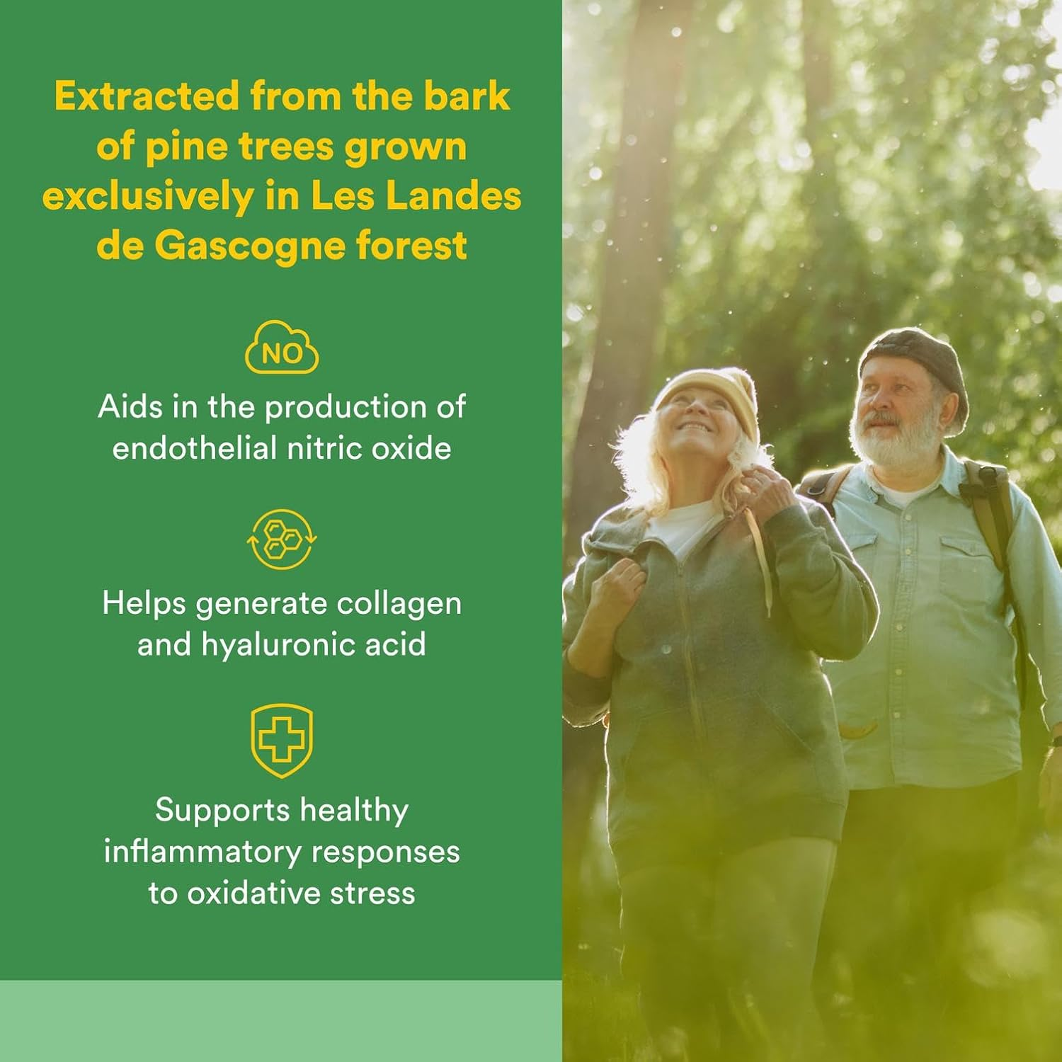 Natural Factors Pycnogenol 25 Mg 60 Capsules image number 5