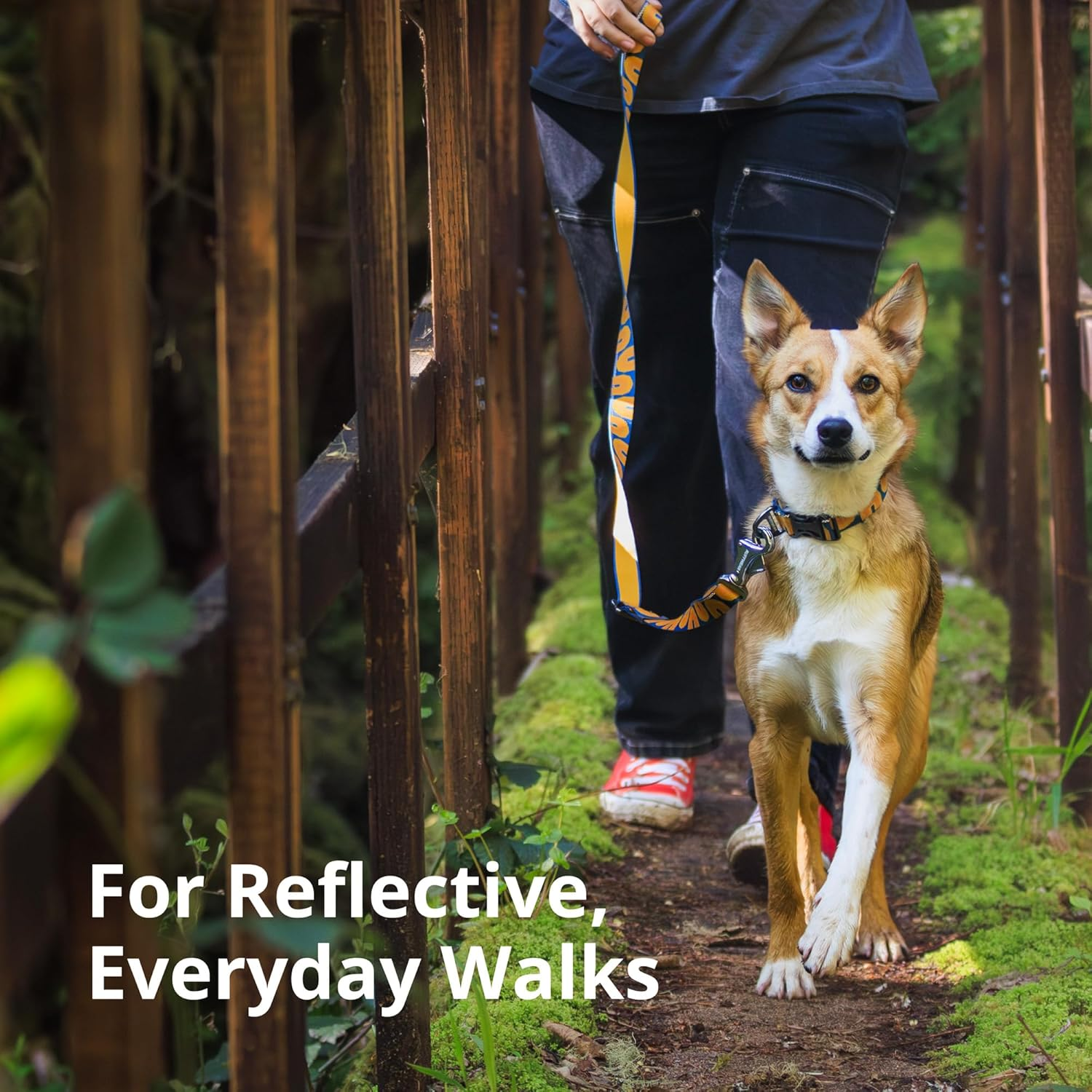 RUFFWEAR Crag Dog Collar, Large Dog Collar with Aluminium V-Ring, Adjustable Length, Pet Dog Collar, Comfortable Soft Collar, Premium Animal Collar with Dog Lead Attachment Ring