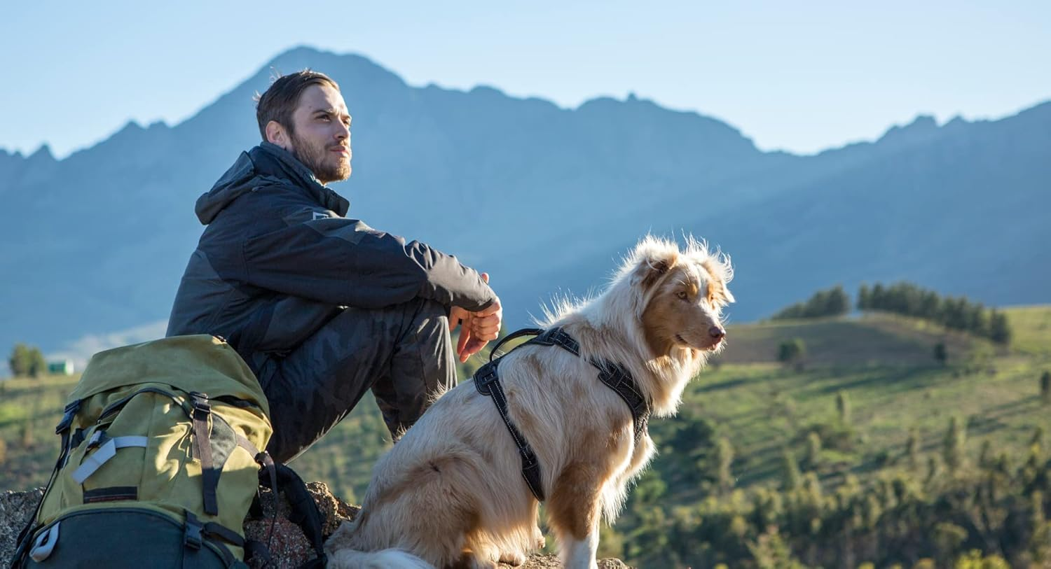 Rogz Handle Padded Control Dog Harness Black Extra Large