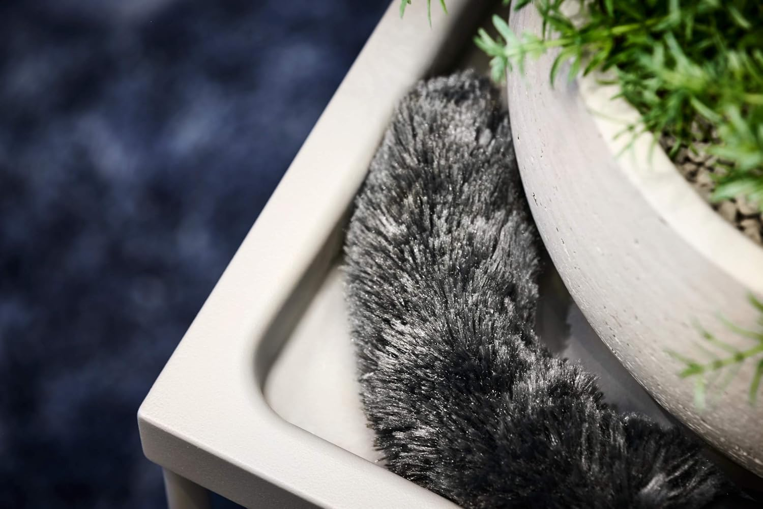 AEG AZE144 Duster for Gentle Cleaning of Sensitive Items, Suitable for 32/35 Mm Vacuum Cleaners, Black