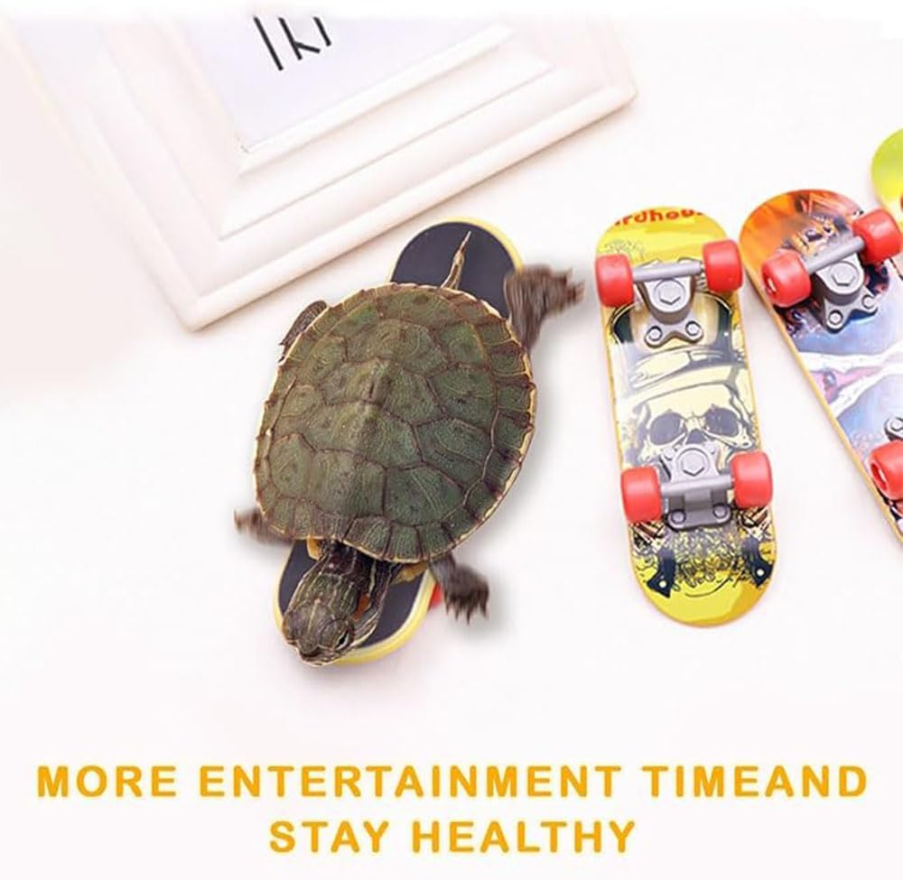 1 Pcs Turtle Toy Mini Skateboard Scooter Accessory,For Bearded Dragon Parrot Reptile Small Animals (Large)