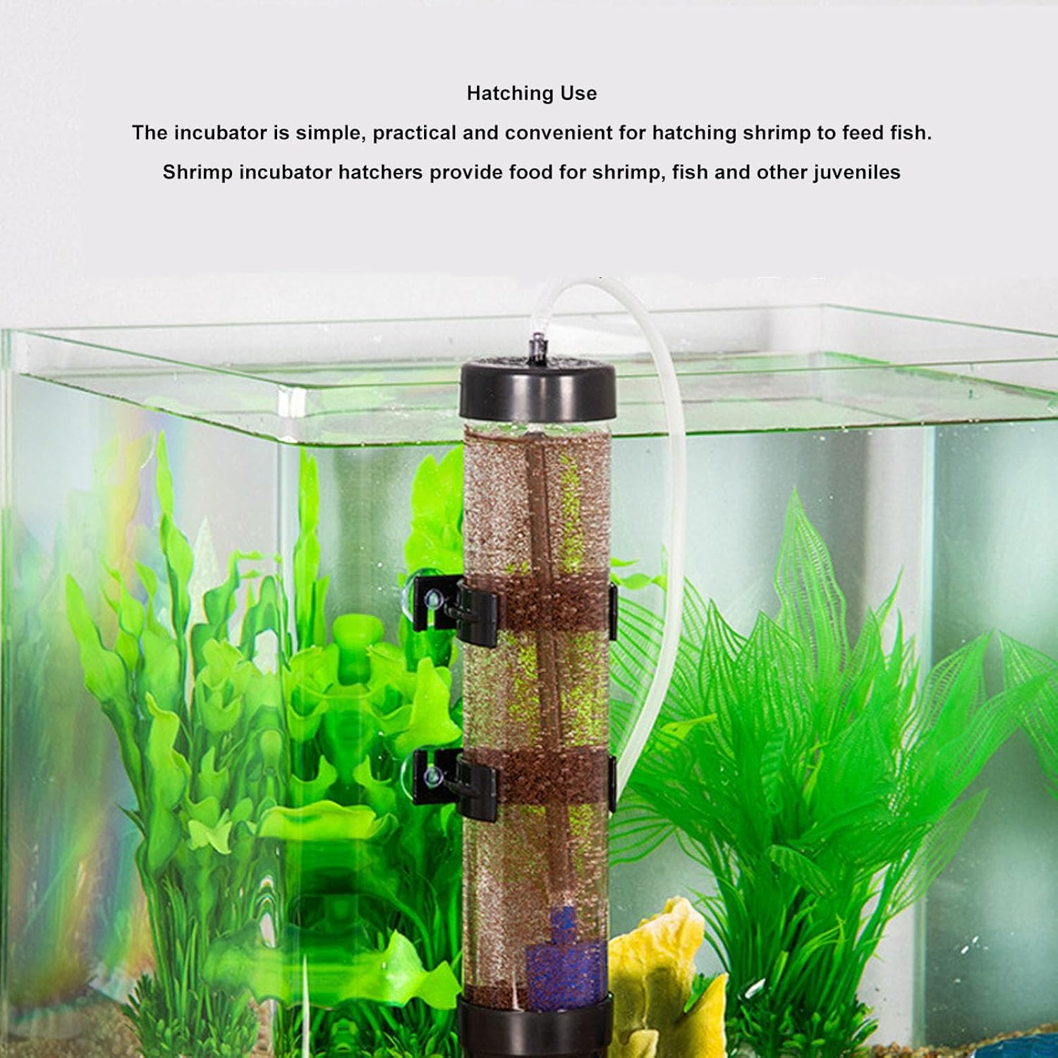 Brine Shrimp Hatchery Kits, Brine Shrimp Eggs Incubator, High Hatchability Shrimp Aquarium Fish Tank Tool with Check Valve, Regulating Valve image number 6