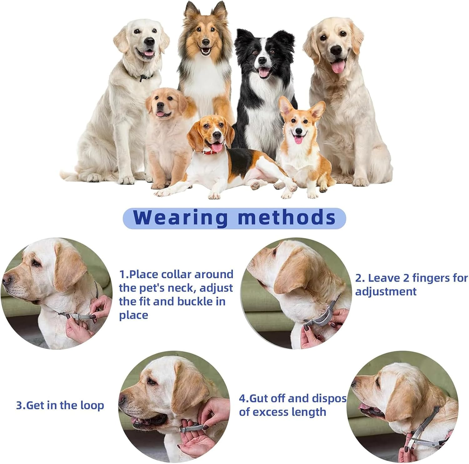 4 Packs Dog Separation Anxiety Collar，Pheromone Collar for Dogs, Relief Anxiety Stress Separation, Lasts 60 Days, Size Flexible Adjustable for Small Medium Large Breed（Grey） image number 4