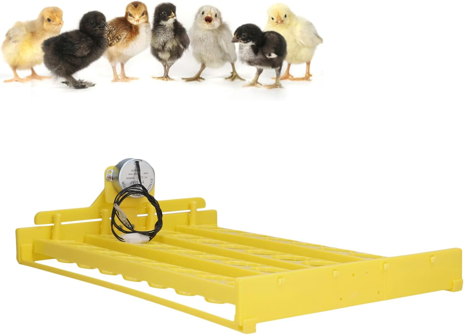 1 Pc Automatic Egg Turner, Egg Incubator, Convenient 32 Eggs Plastic Tray Turning Hatcher for Chicken Goose (220V) image number 5