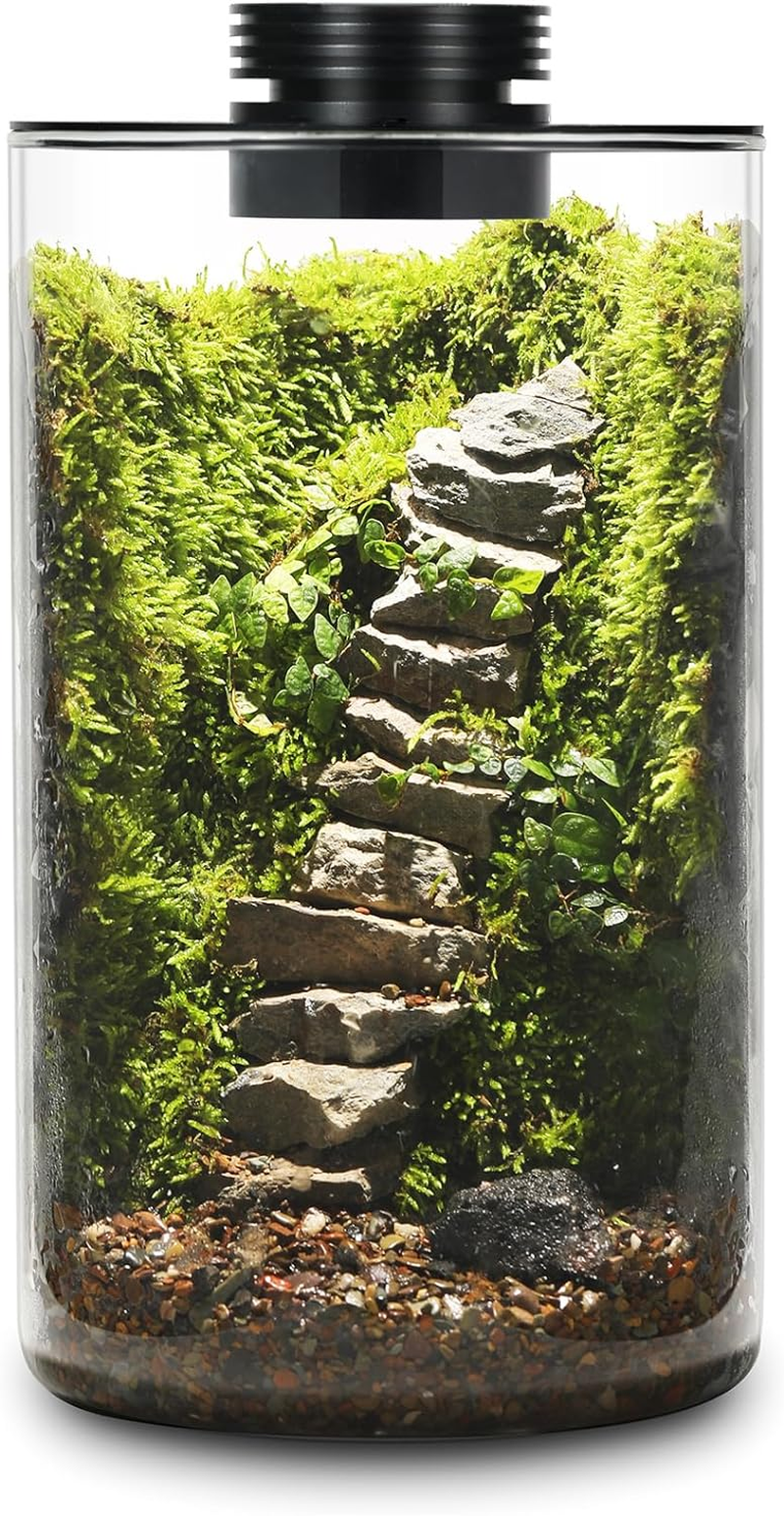 Desktop Glass Plant Terrarium with Grow Light (H:9.8" D:5.9"), for Succulent, Moss, Miniature Gardening Landscape, Betta Fish Tank, Indoor Plant Growth, Office Home Decoration, Plant Lovers Gifts image number 4