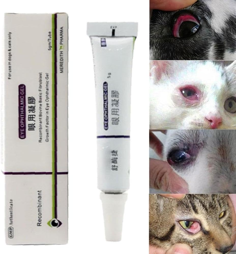 Cat and Dog Eye Gel &ndash; Pet Friendly Formula for Conjunctivitis, Corneal Ulcers, Redness, Inflammation & Dry Eyes &ndash; Soothes Irritation and Effectively Protects against Eye Damage, 5G image number 4