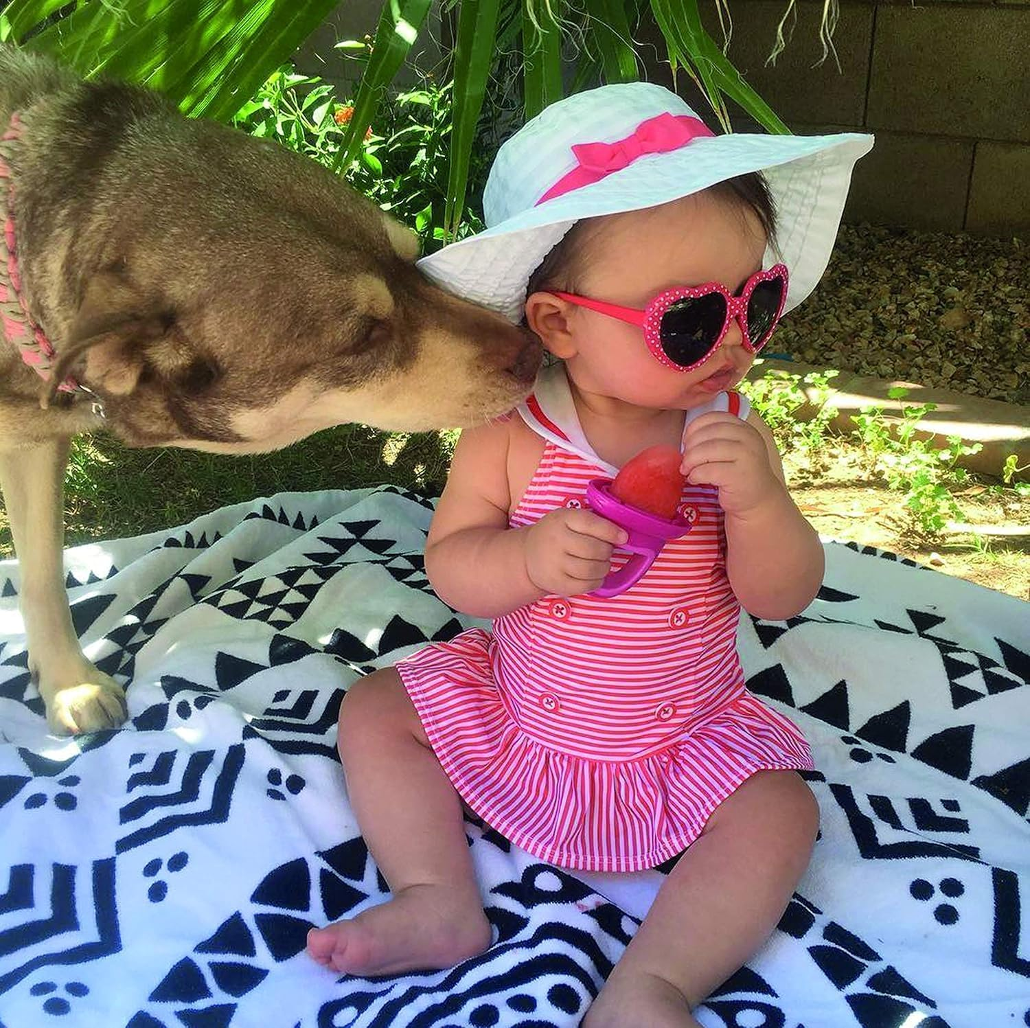 Nuby Garden Fresh Fruitsicle Tray