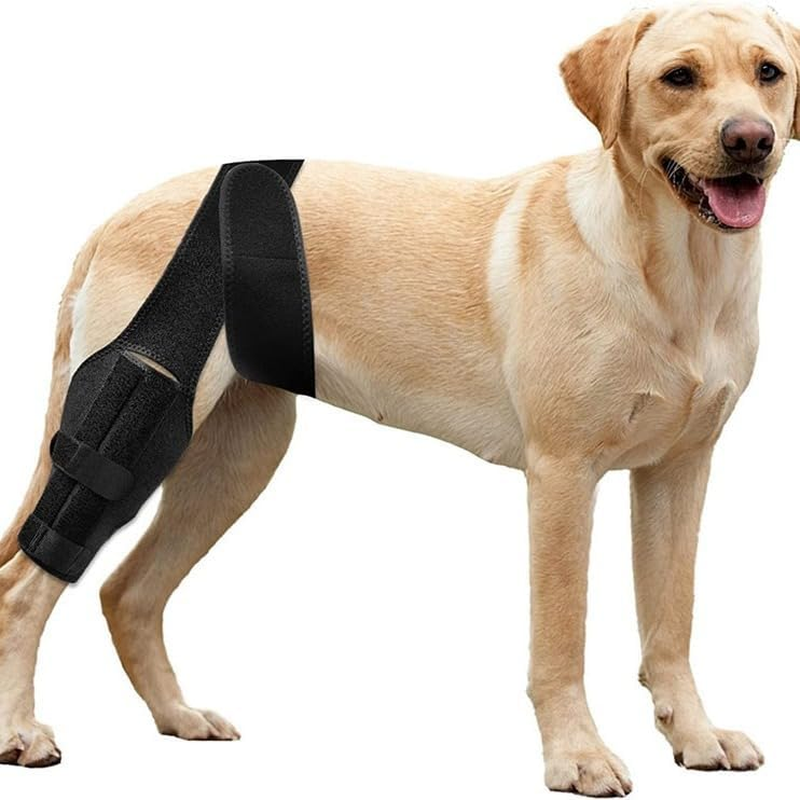 Dog Knee Brace for Cruciate Ligament Injuries, Joint Pain and Soreness, Better Recovery ACL Brace, Adjustable Back Leg Brace Dogs (L, Black) image number 5