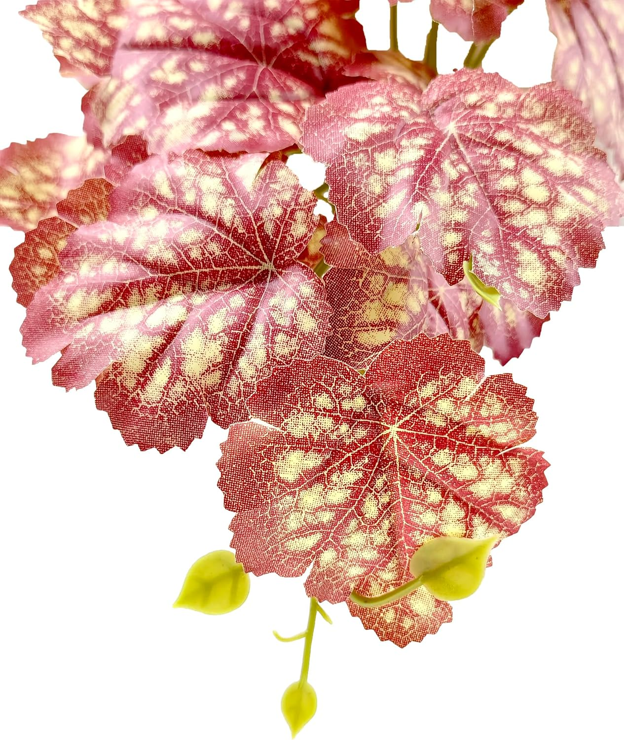 Woyrise Reptile Plants, Terrarium Hanging Plants Vines for Reptile Tank, Amphibian Habitat Leaves Decor with Suction Cup for Bearded Dragon Lizard Snake Gecko Frog Hermit Crab - 2Pcs Pink Heuchera - Calathea Orbifolia image number 7