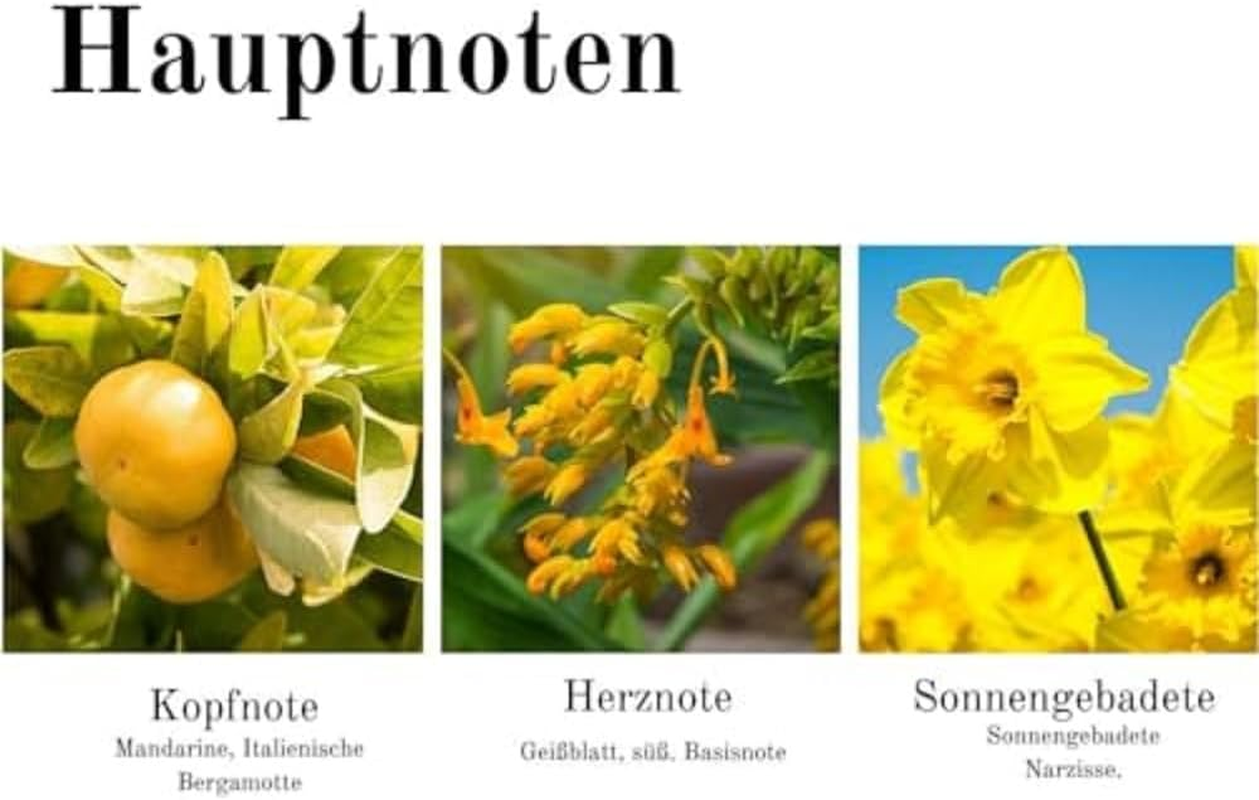 Elizabeth Arden Sunflowers Sunlight Kiss EDT, 100 Ml image number 4