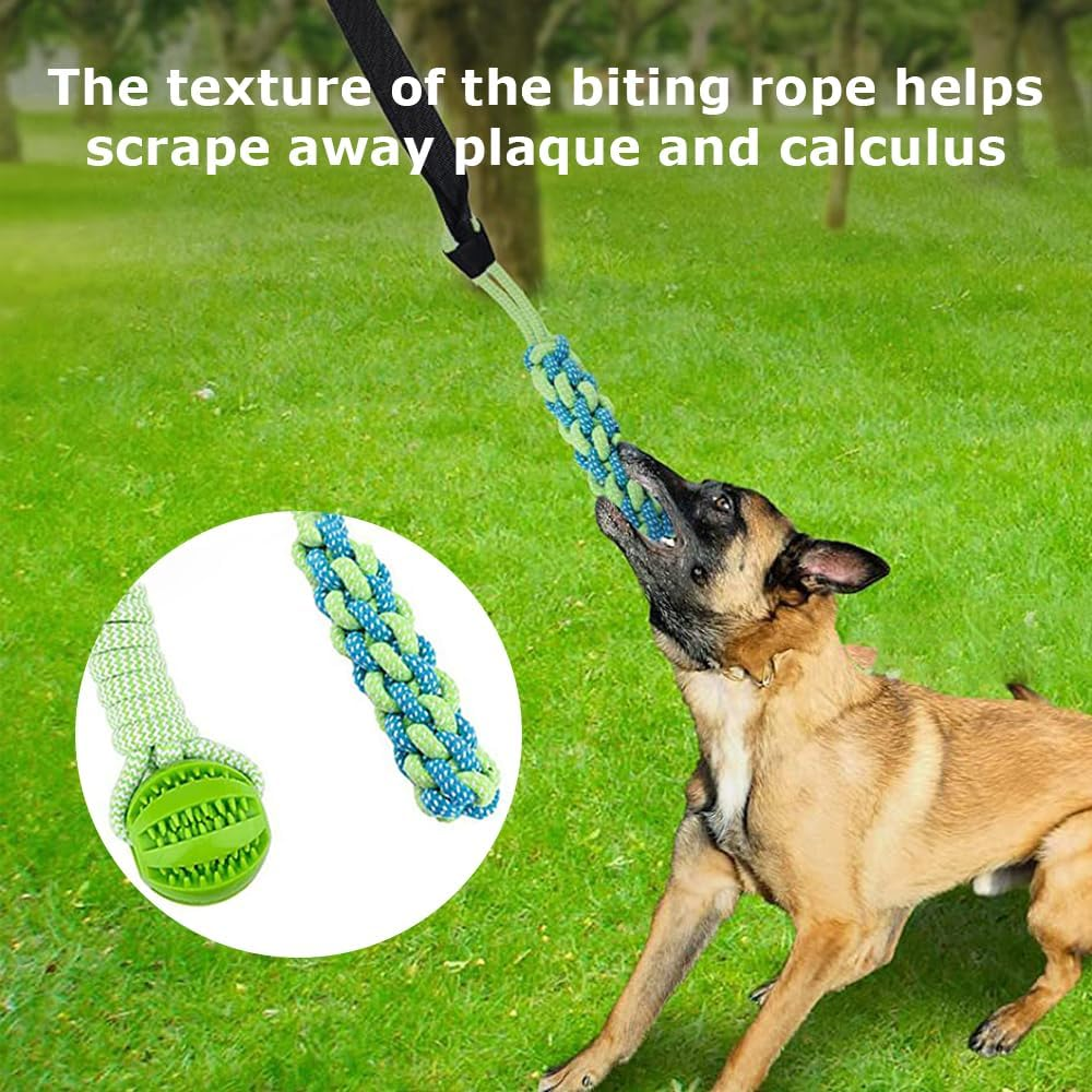 Dog Pole Rope Toys,Interactive Exercise Play,Interactive Tether Pull,Dog Rope Play,Pet Outdoor Entertainment,Retractable Tugger Dog Rope,For Pet Exercise