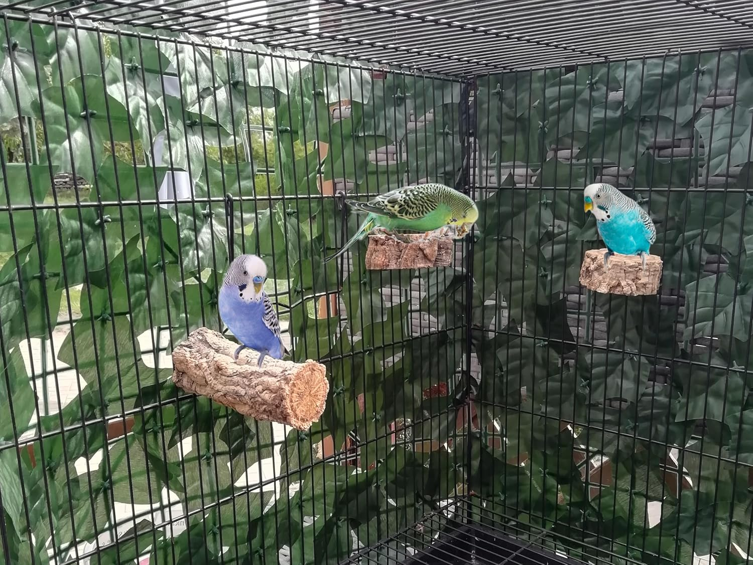 Bird Perch + 2 Seating Boards from the Cork Oak for Small Birds image number 2