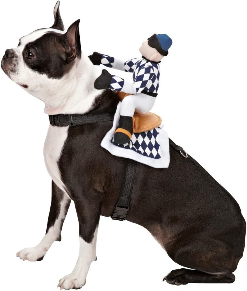 Zack & Zoey Show Jockey Saddle Dog Costume, Small