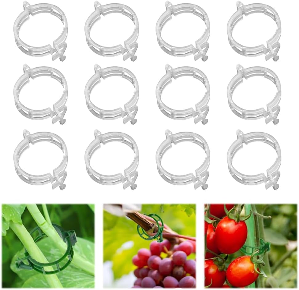 100Pcs Plant Support Clips for Climbing Plants, Reusable Plastic Trellis Clips for Tomato, Grape Vine, Vegetables, Garden Fixing Clips (100, Green)