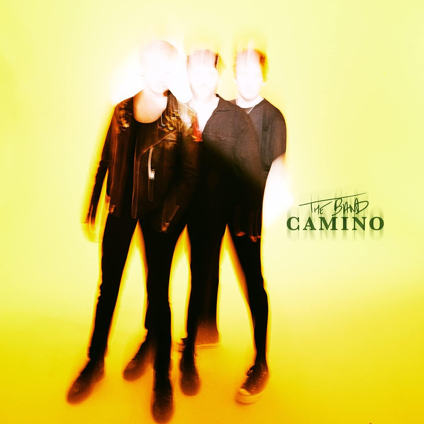 The Band Camino (Vinyl)