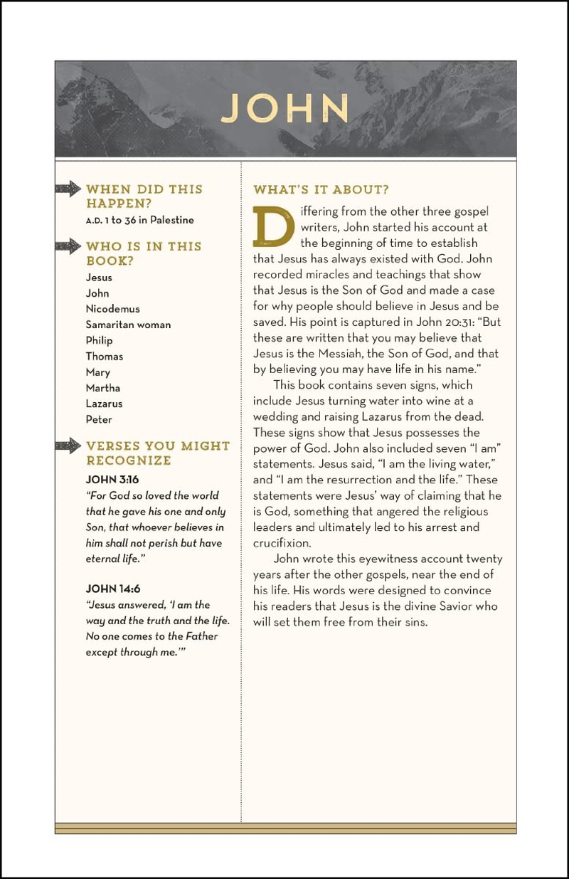 NIV Bible for Teen Guys: Building Faith, Wisdom and Strength image number 3