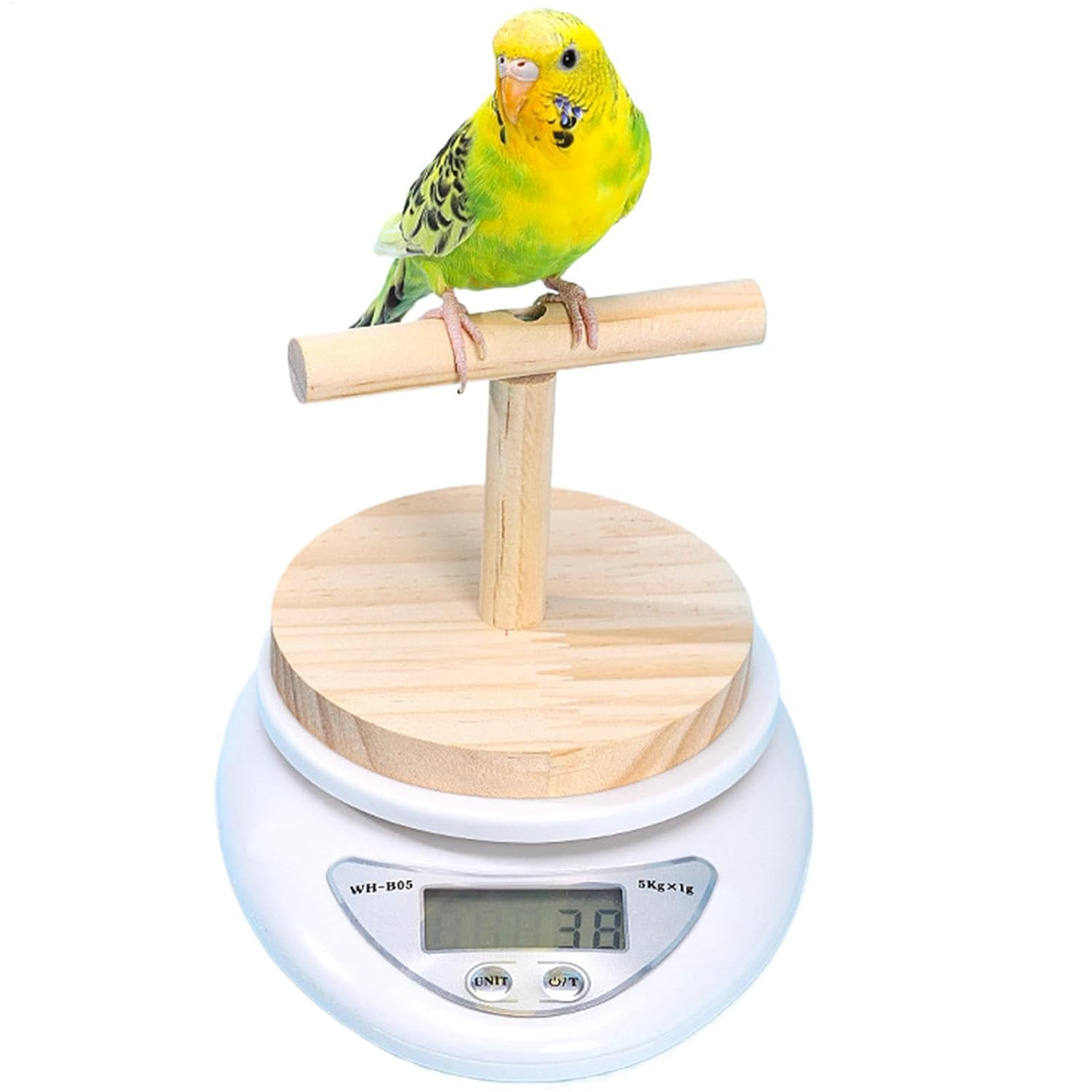 Lmyit Bird Weight Scale | Parrot Training Animal Scale with Perch - Convenient Weight Changing Monitoring Tool for Medication, Milk Powder image number 2