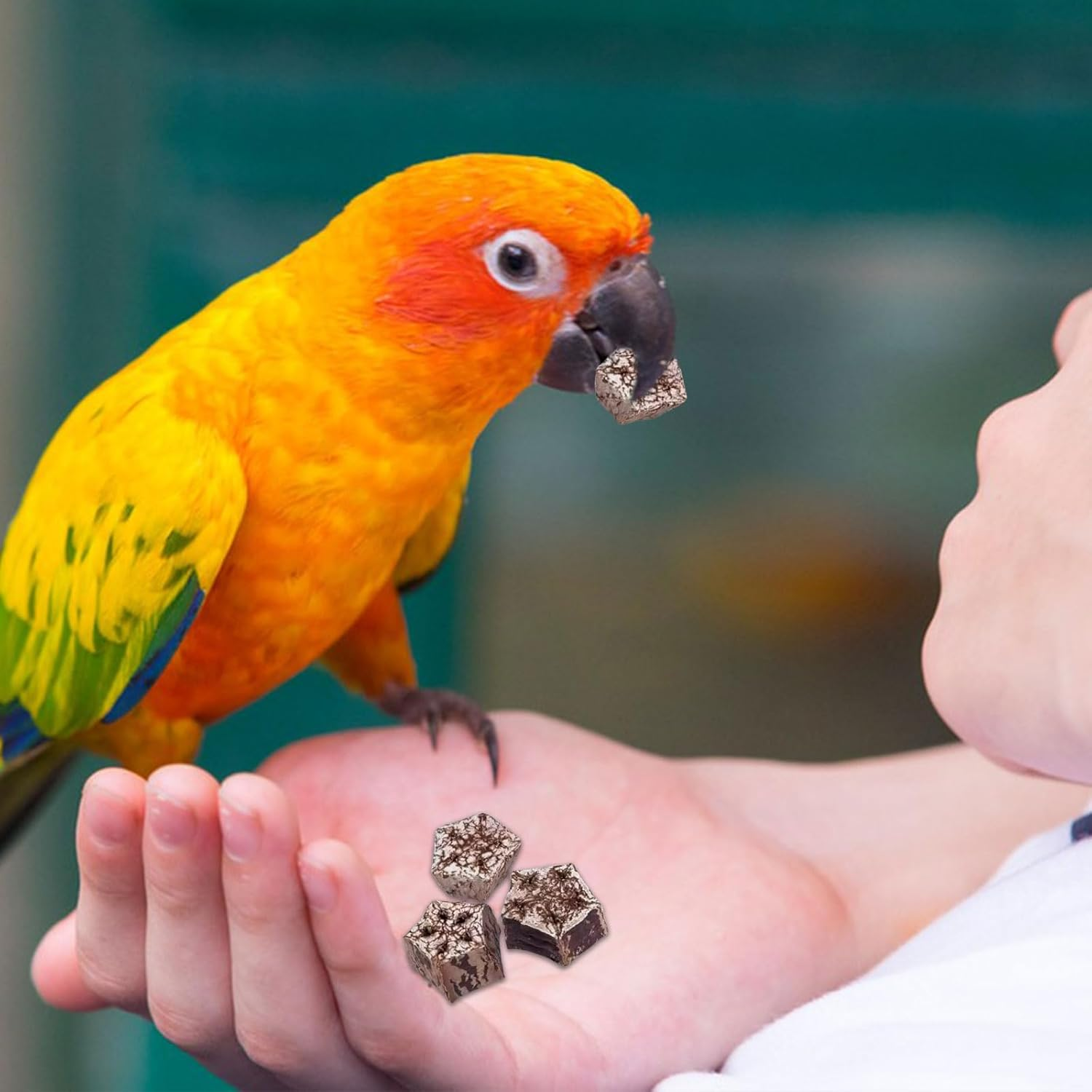 Bird Chew Toy, 24 Pieces Natural Dried Star Fruit Interactive Parrot Toy Budgies Teeth Grinding Treat Blocks Cage Accessories for African Cockatoos image number 4