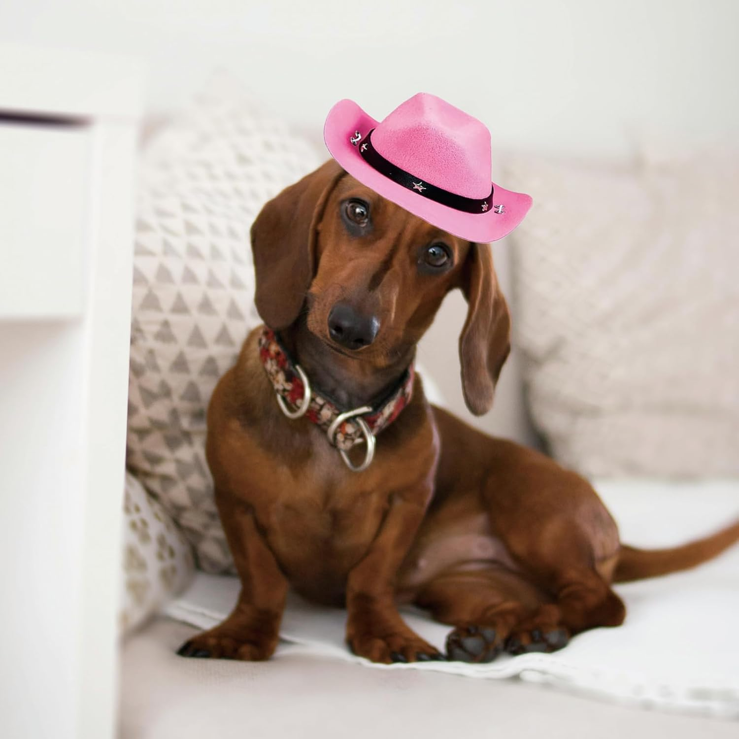 AWOCAN Pet Dog Costume Cowboy Hat Cosplay Cap Puppy Pet Dog Cat Holiday Pet Party Decoration (Pink)
