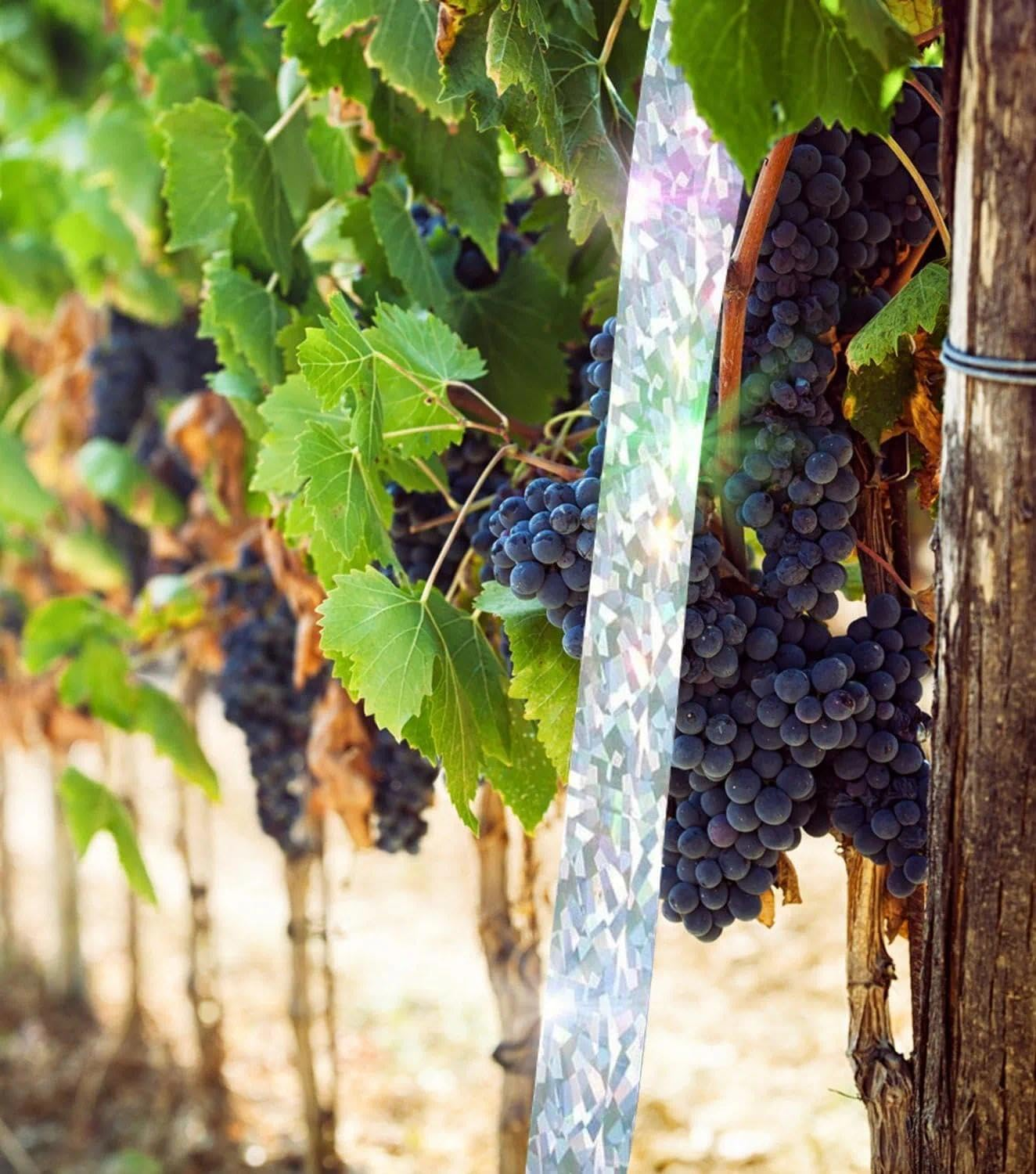 Bird Scarer Reflective Tape, Dual-Sided Bird Deterrent Ribbon for Outdoor Use, Premium Quality Scare Tape for Pigeons, Geese & More &ndash; 350 Ft Long by Fengea