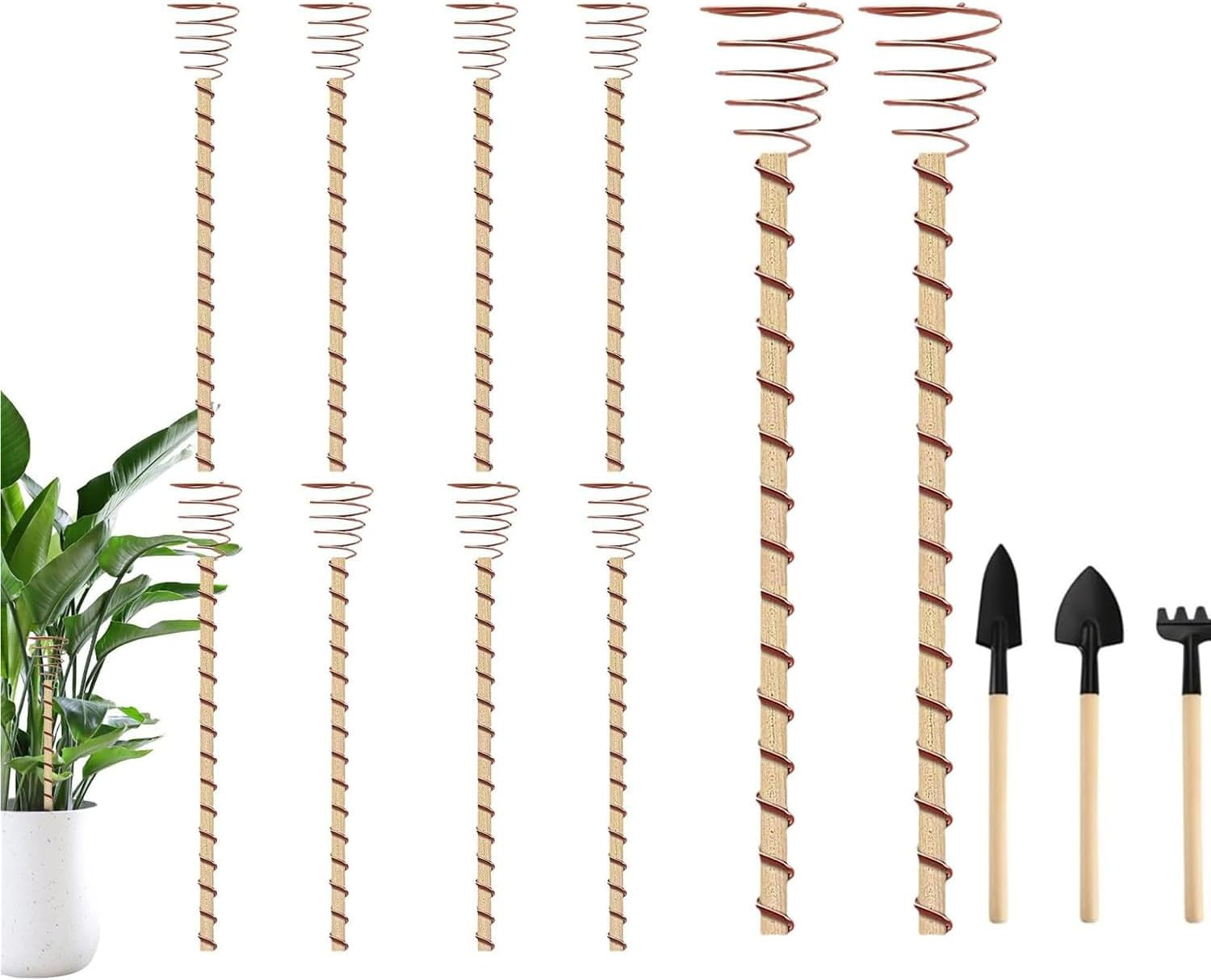 MEZOKUCEL Electroculture Plant Stakes - 12-Inch Copper Stakes Probes 10Pcs Long Copper Wire Garden Tools, Garden Copper Stakes for Plants Vegetables Fruits (10Pcs) image number 3