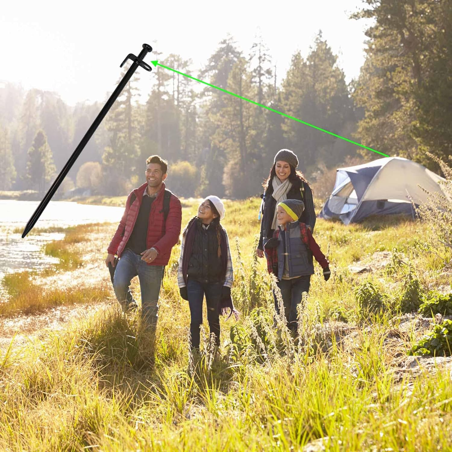 Youguobeier 8PCS Heavy Duty Steel Tent Pegs, 12 Inch Carbon Steel Tent Stakes with Hook and Pointed Tip, Silver image number 4