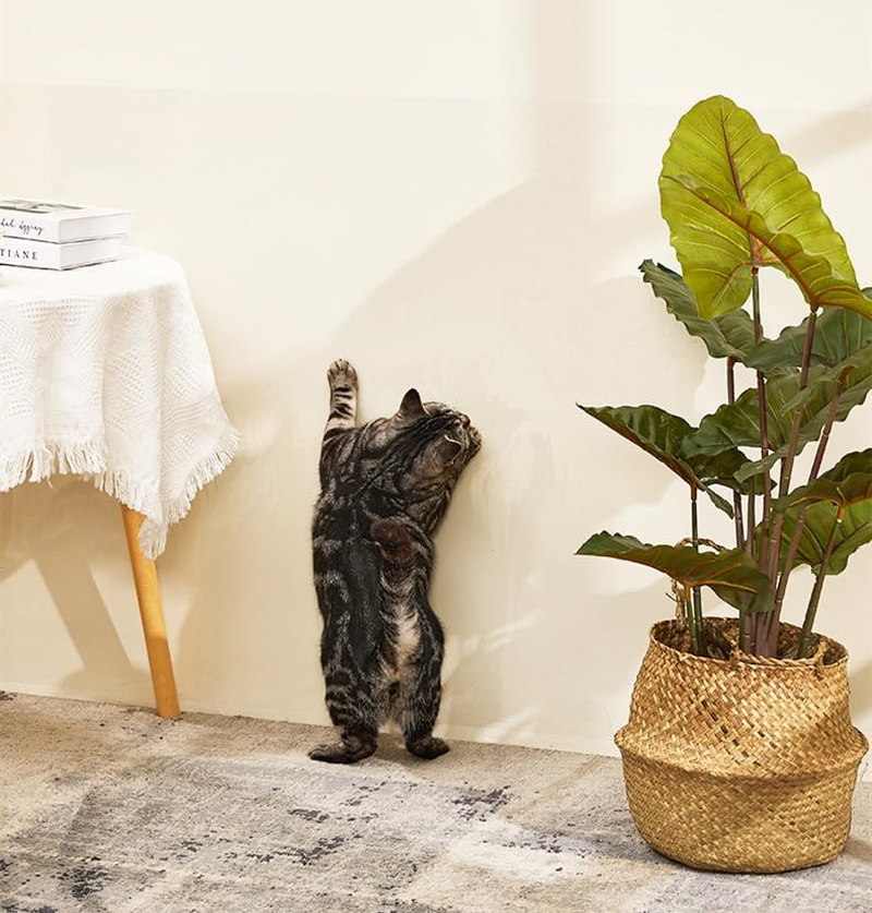 Clear Contact Paper Roll 17.7'' X 118'' Clear Glossy Self-Adhesive Film Cover Removable Protective Film Transparent Liners Drawers Shelves Kitchen Cabinets Desks Fridge Roll